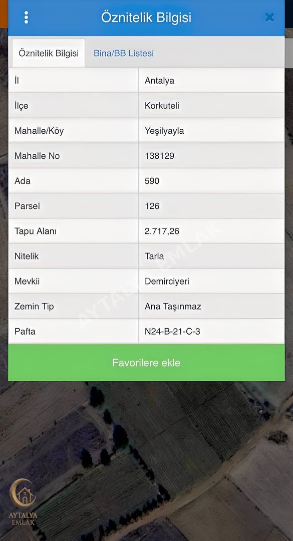 ACİL! Yeşilyaylada Badem Dikili Satılık Tarla | Kaçmaz Fırsat